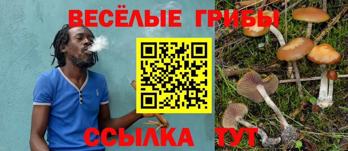 Галлюциногенные грибы прущие грибы Заводоуковск