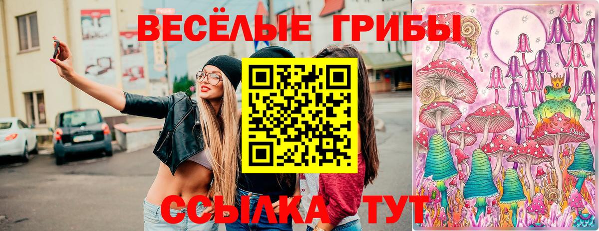 Псилоцибиновые грибы Cubensis  Вход с VPN  Галлюциногенные грибы Cubensis  Заводоуковск 